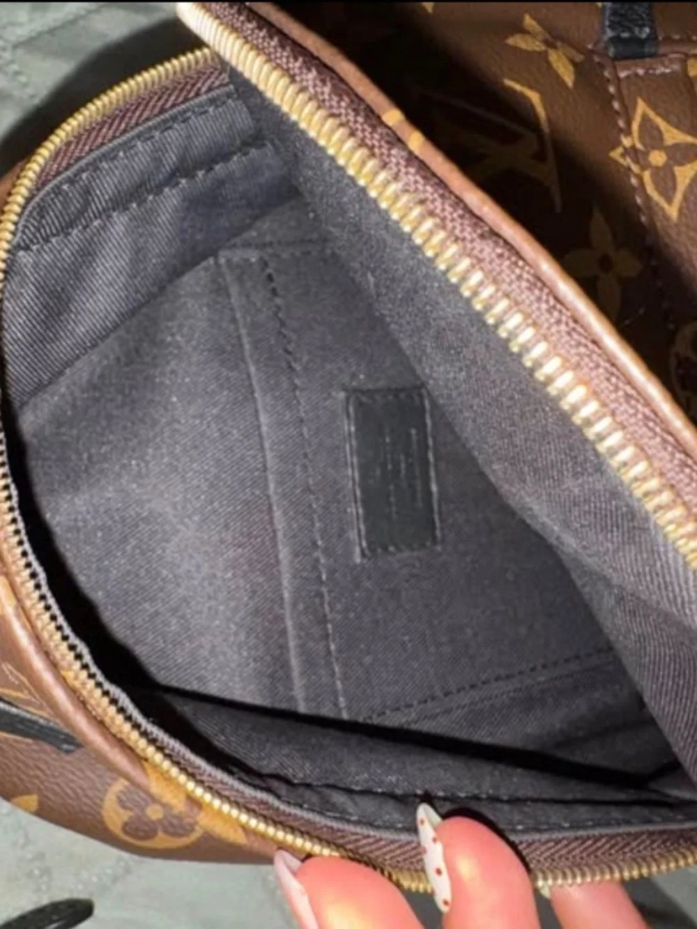 Louis Vuitton palm spring mini backpack